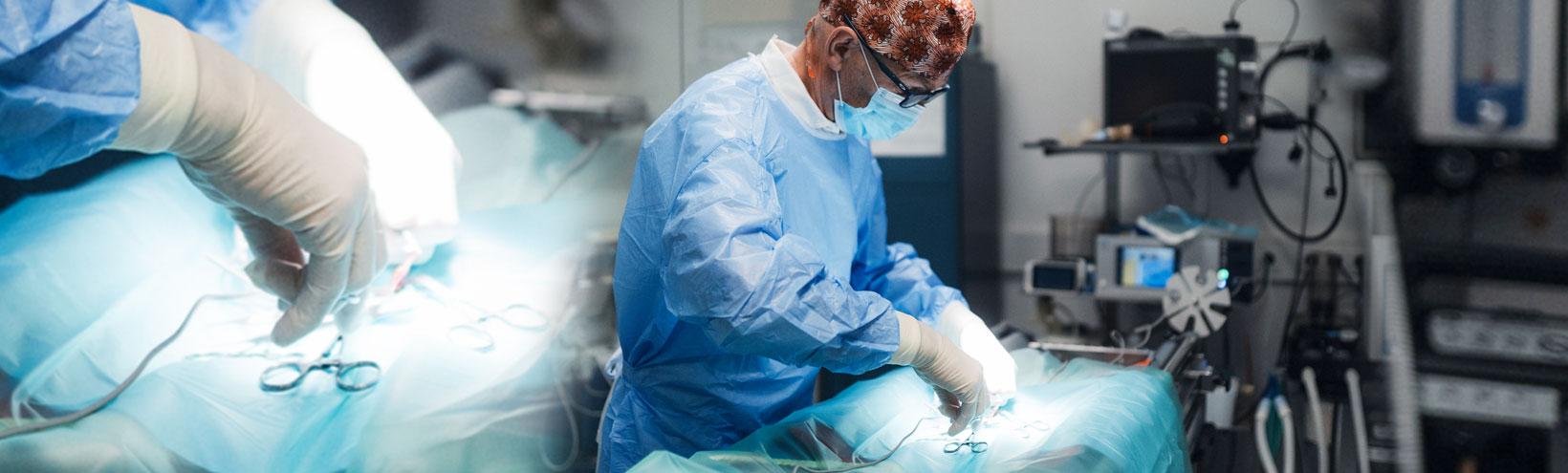 Tier Operation von Dr. Peter Theurl Tierarztpraxis Natters